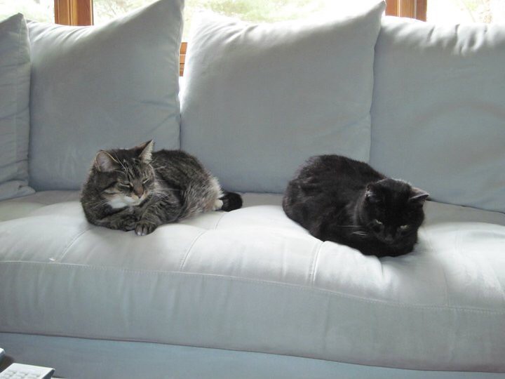 40670632663_688a5b63a2_b