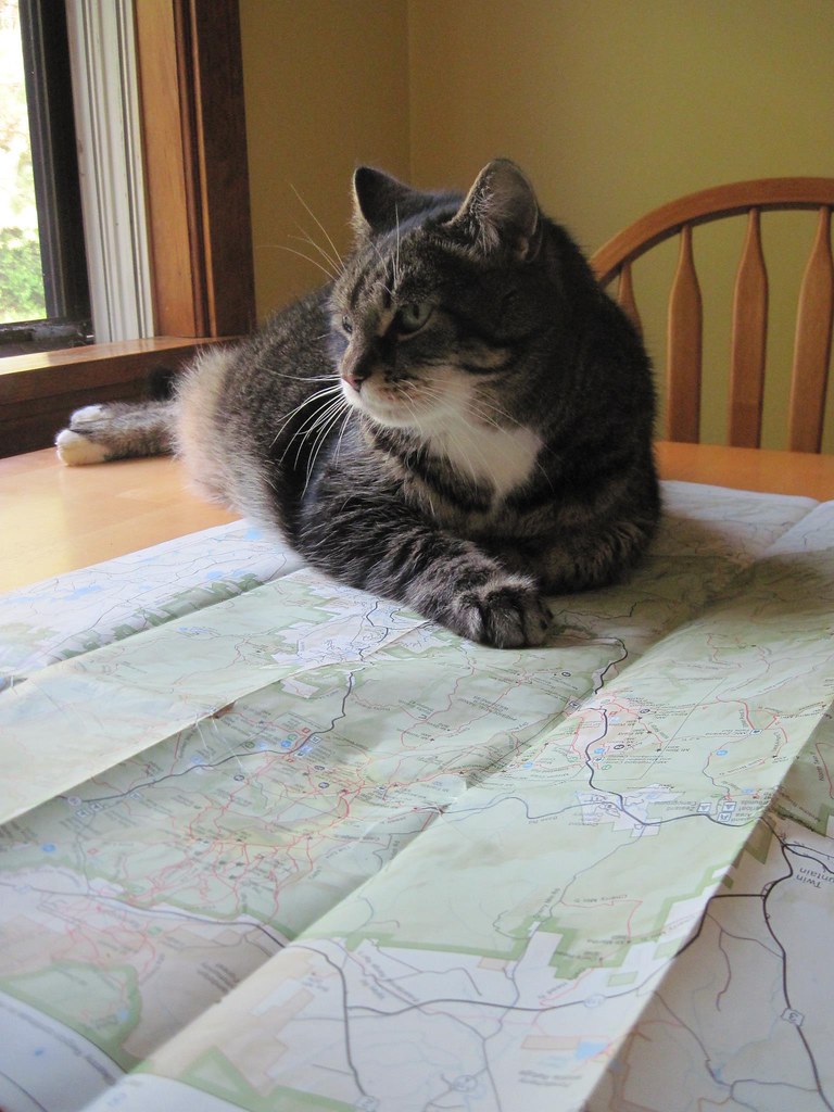 40670632863_e5bcceb6bc_b