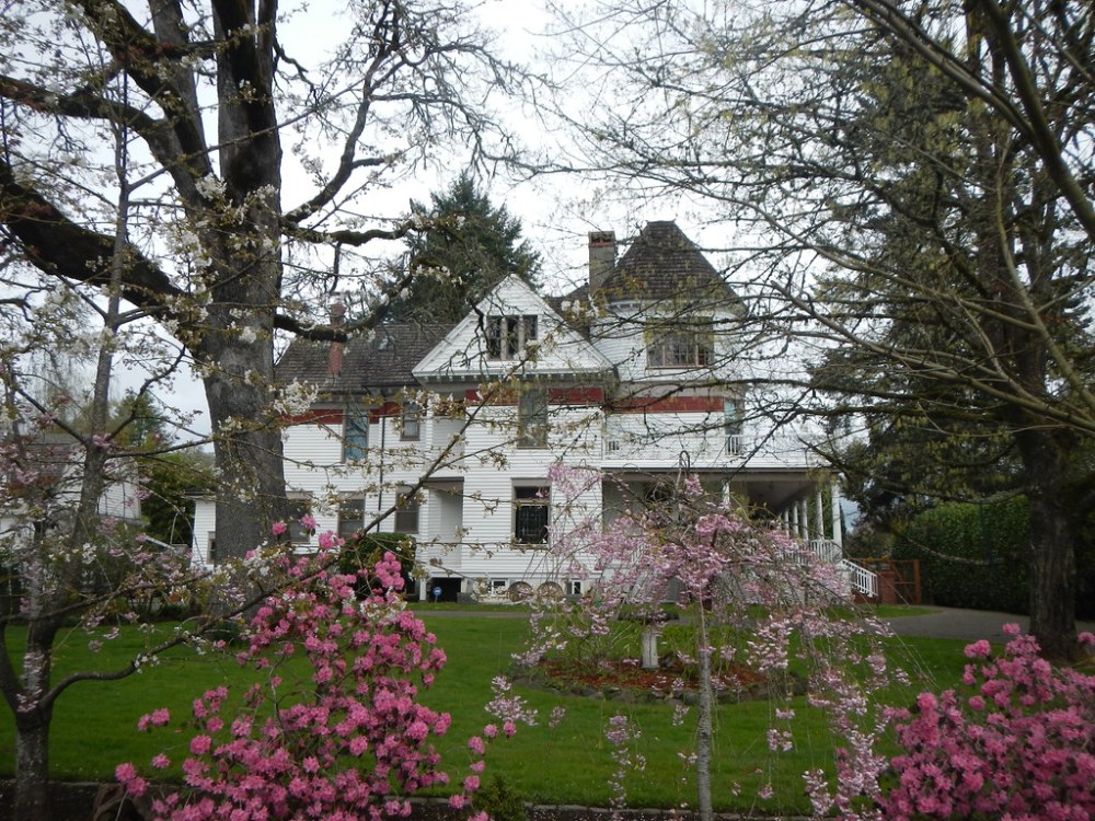 46694046245_6578d12f75_b