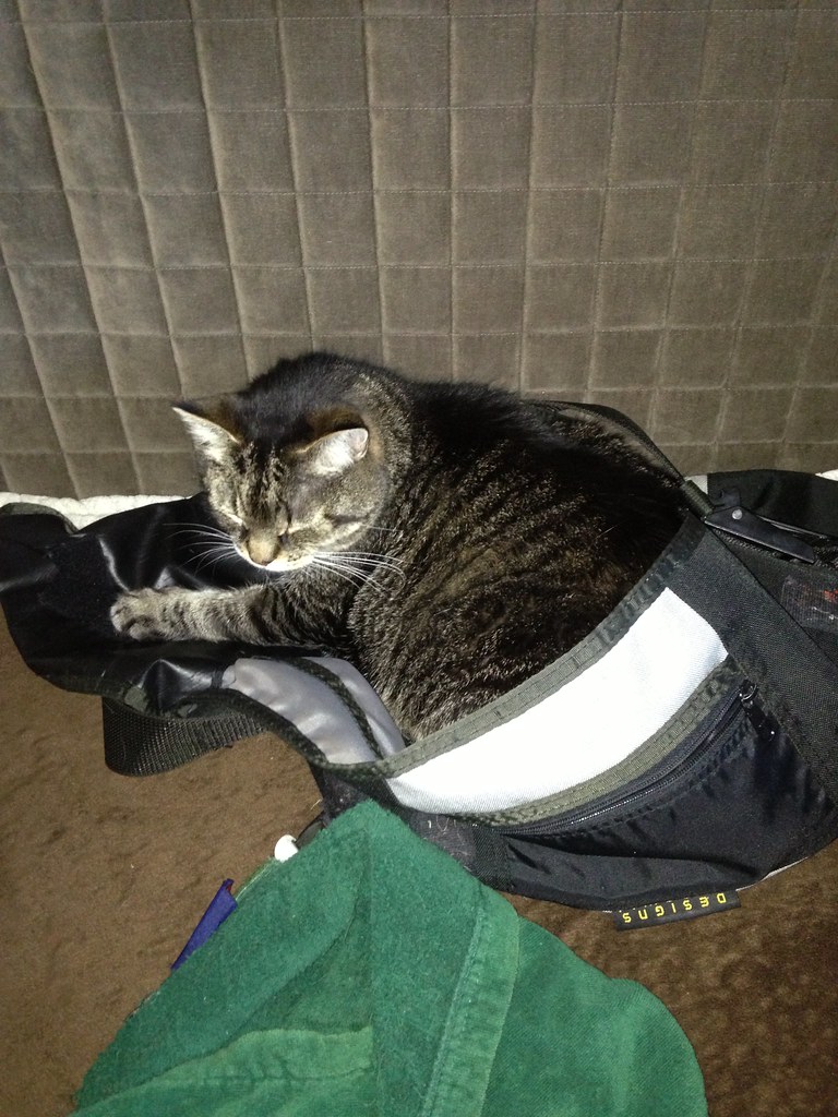 46721393645_5371df2d28_b