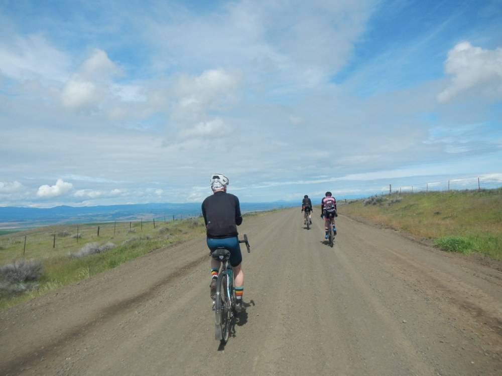 46967821205_2ff69a1a0d_b