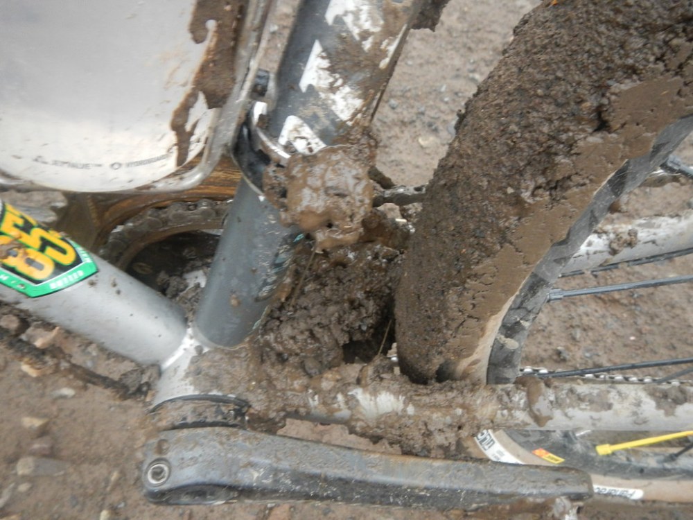 47831959012_ecebdd01aa_b