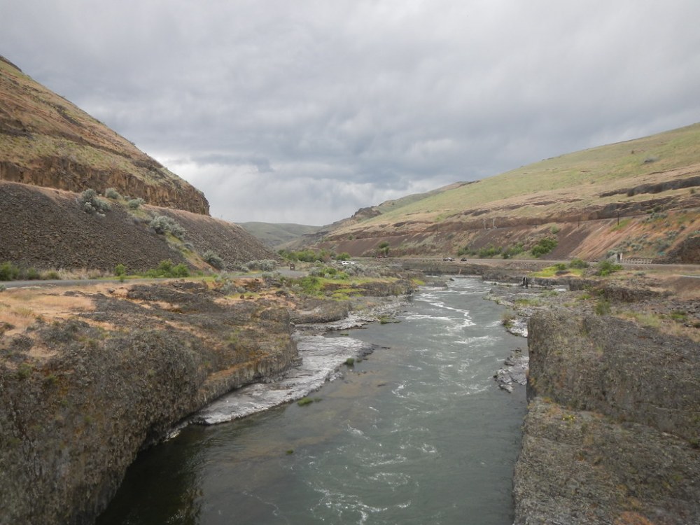 47883893101_94a67f0444_b