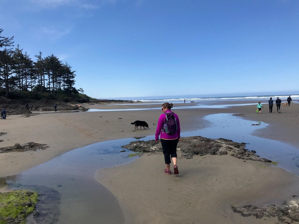 47946573127_b052474a74_b