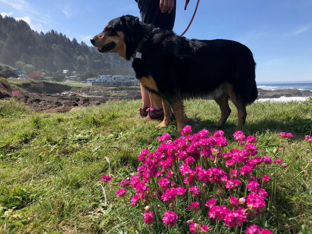 47946574582_80529aaf44_b