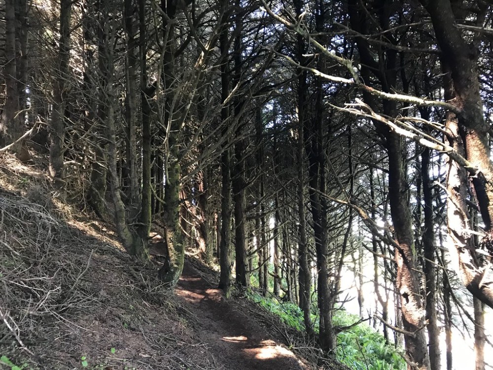 47946585493_03f1a1021b_b