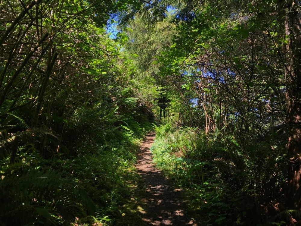 47946607176_5a4917a040_b