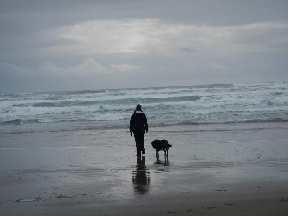 47946631601_e7e711e18c_b