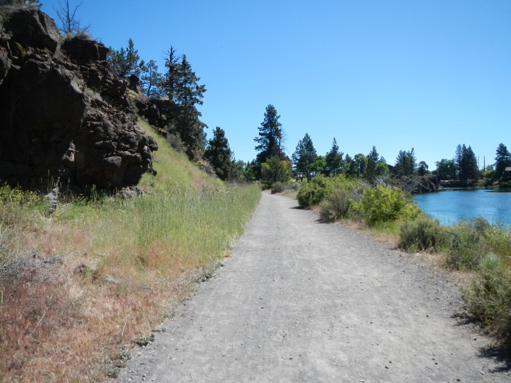 48123179476_8348b3b33d_b