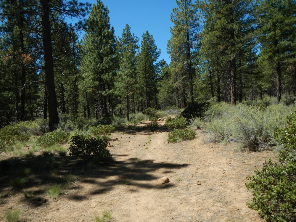 48123202468_06e698f98c_b