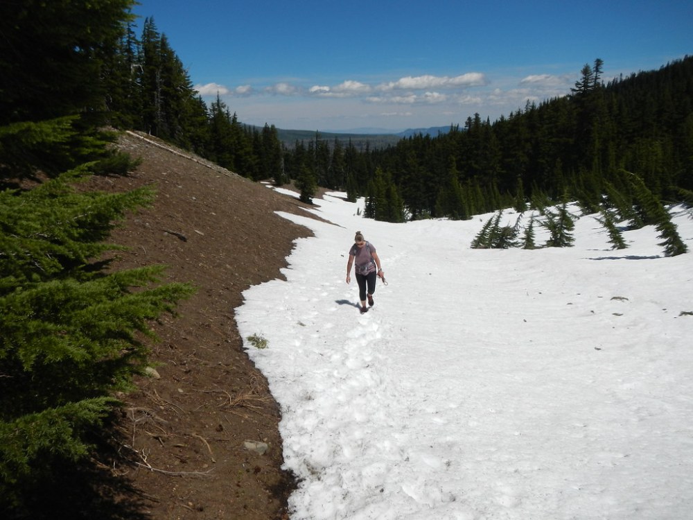 48123284057_c7989077b9_b