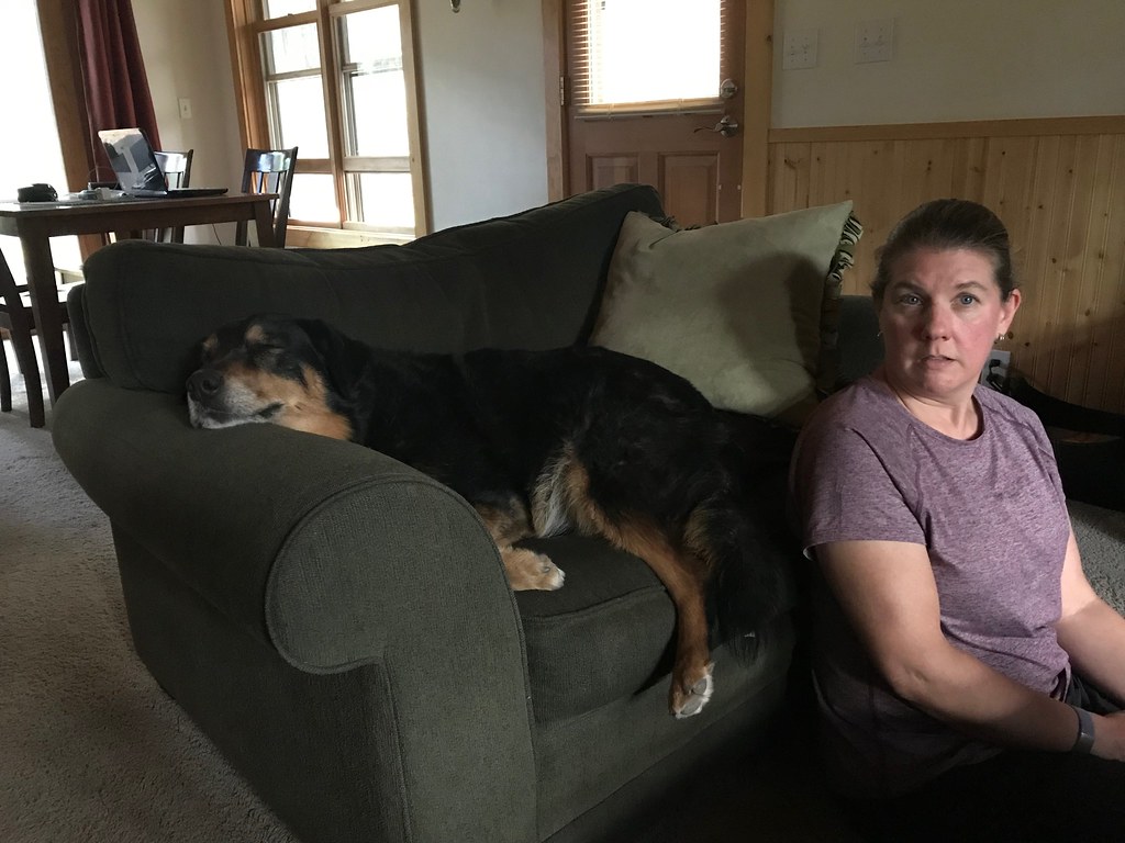 48675564482_c31fb96d8a_b