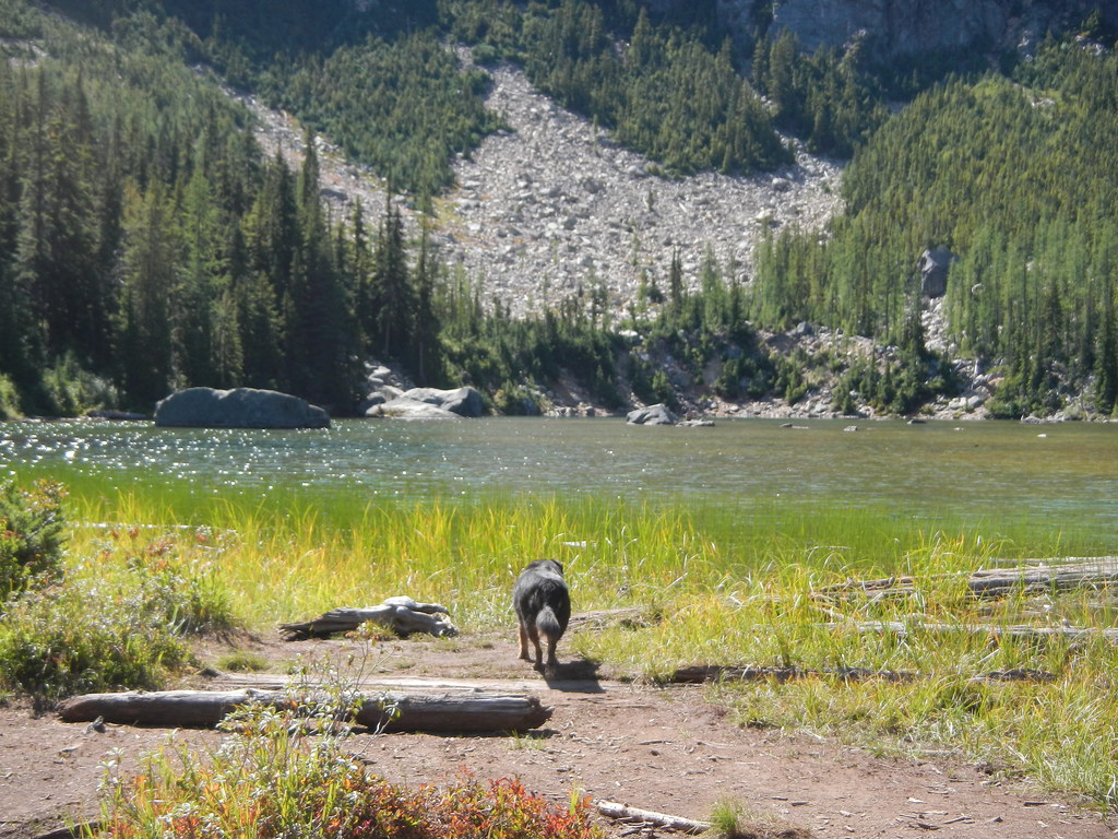 48684045281_aa119ac38d_b